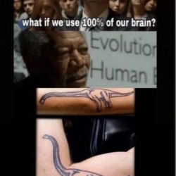 100% Brain Usage
